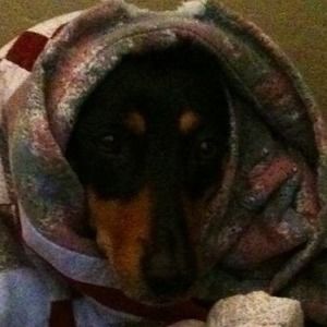 Meet your Posher, Janice